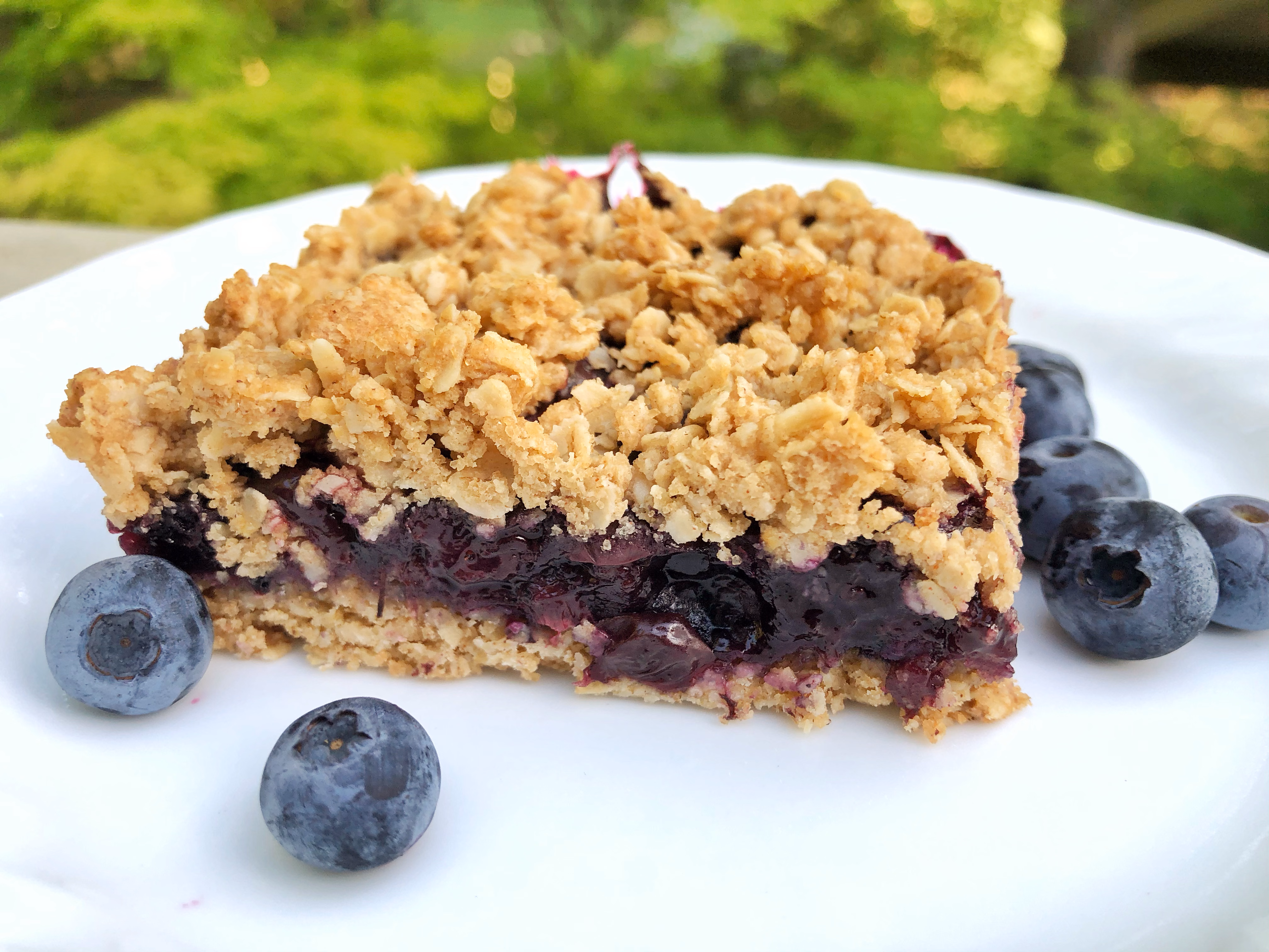 Blueberry Pie Bars
